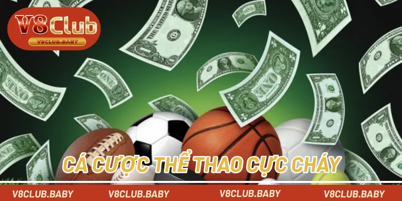 Cá cược thể thao V8CLUB cực cháy